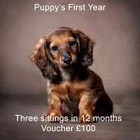 Puppy's first year