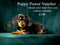 Puppy Power Voucher